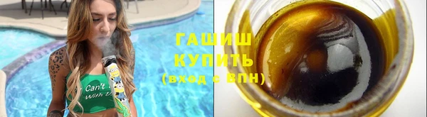 амф Снежногорск